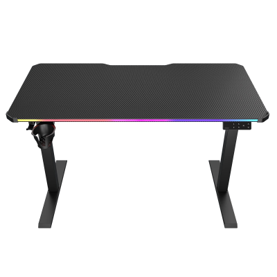 Electric Adjustable Gaming Desk